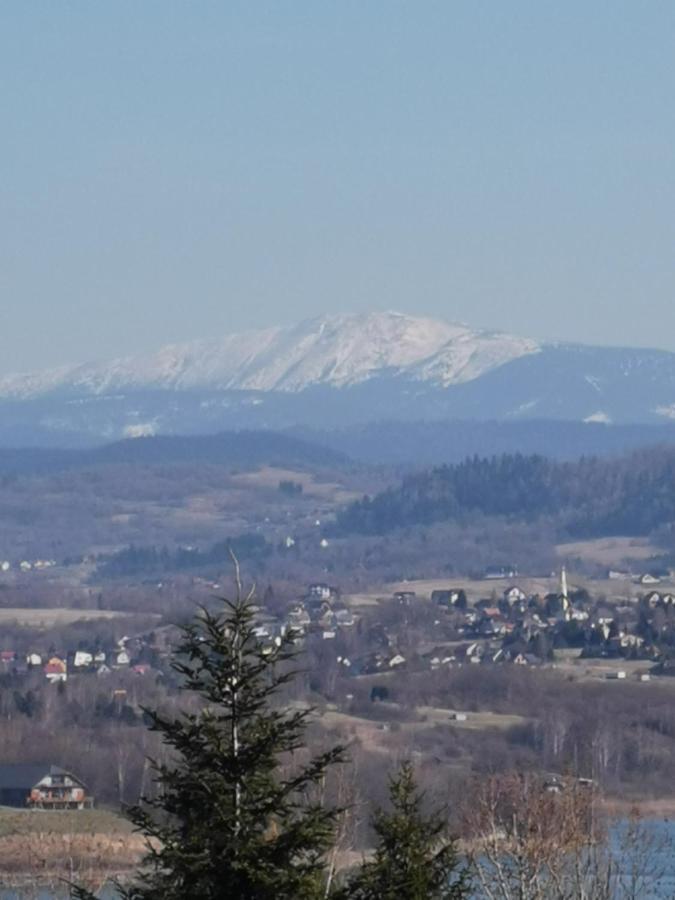 Osrodek Wypoczynkowy Nad Jeziorem Ξενοδοχείο Żywiec Εξωτερικό φωτογραφία