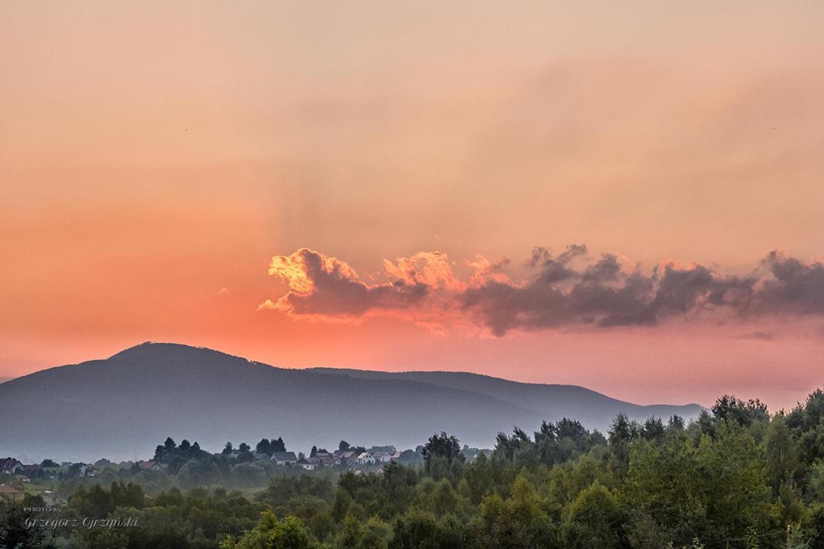 Osrodek Wypoczynkowy Nad Jeziorem Ξενοδοχείο Żywiec Εξωτερικό φωτογραφία